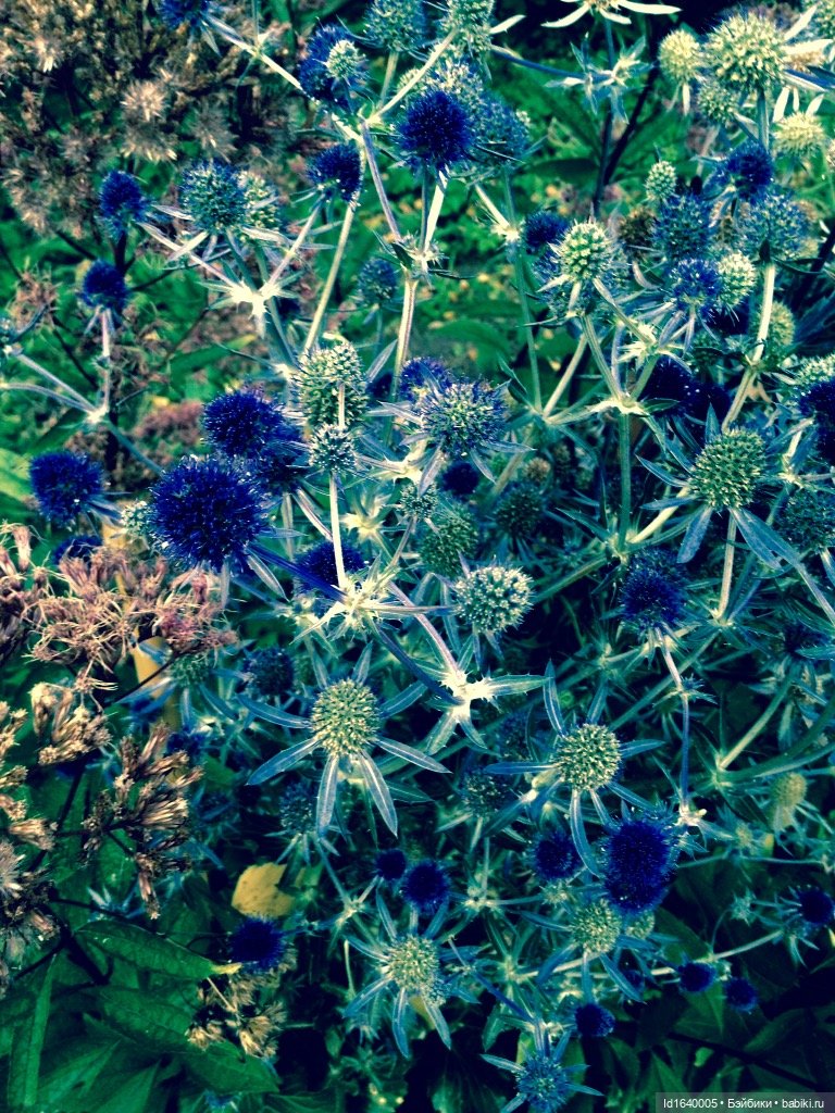 В жару и в стужу жгучую, в темно-синем лесу... кабы чего не вышло