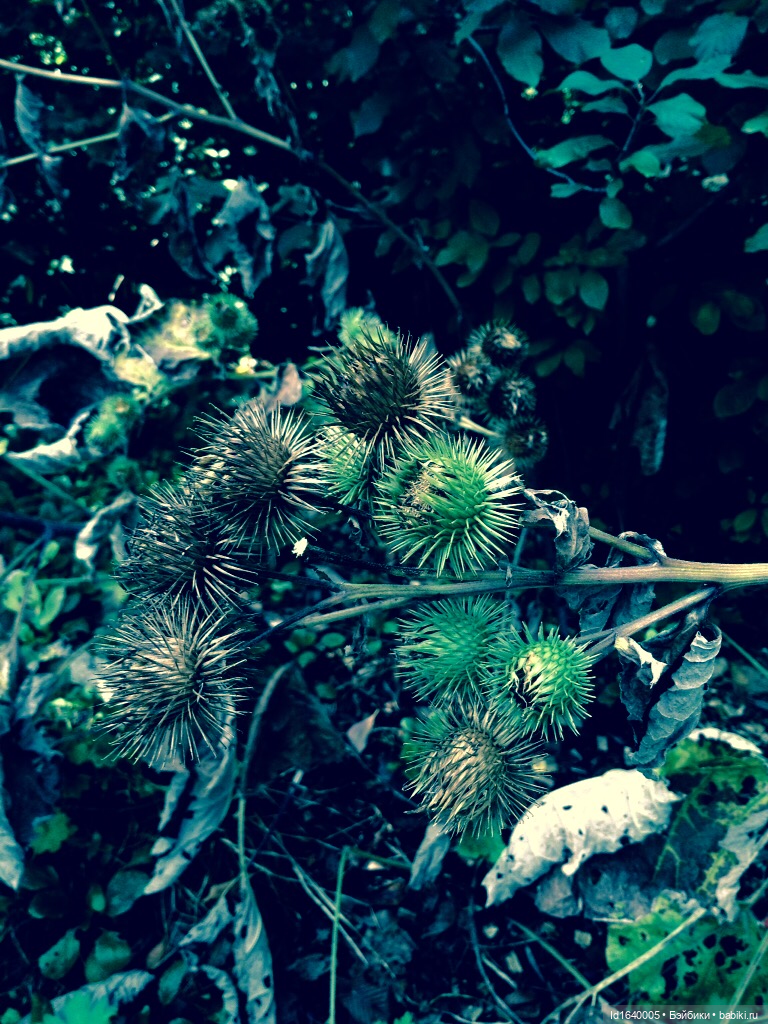 В жару и в стужу жгучую, в темно-синем лесу... кабы чего не вышло