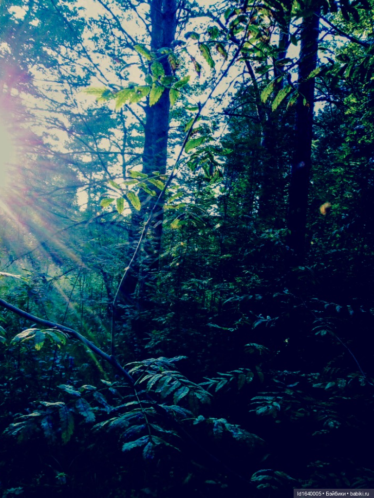 В жару и в стужу жгучую, в темно-синем лесу... кабы чего не вышло