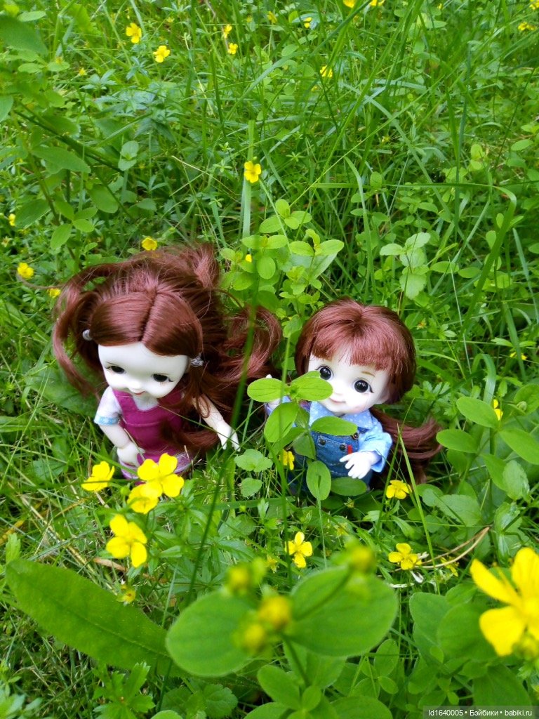 Кузнечик, который не хотел сидеть в травке (фото 10)