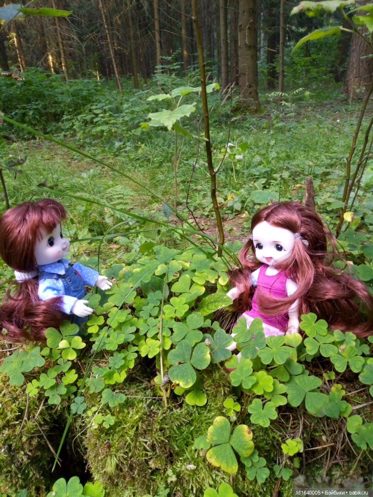 Кузнечик, который не хотел сидеть в травке (фото 5)