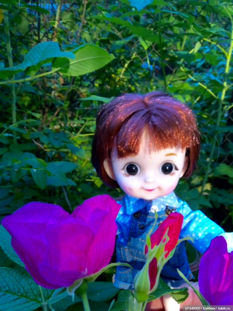 Кузнечик, который не хотел сидеть в травке