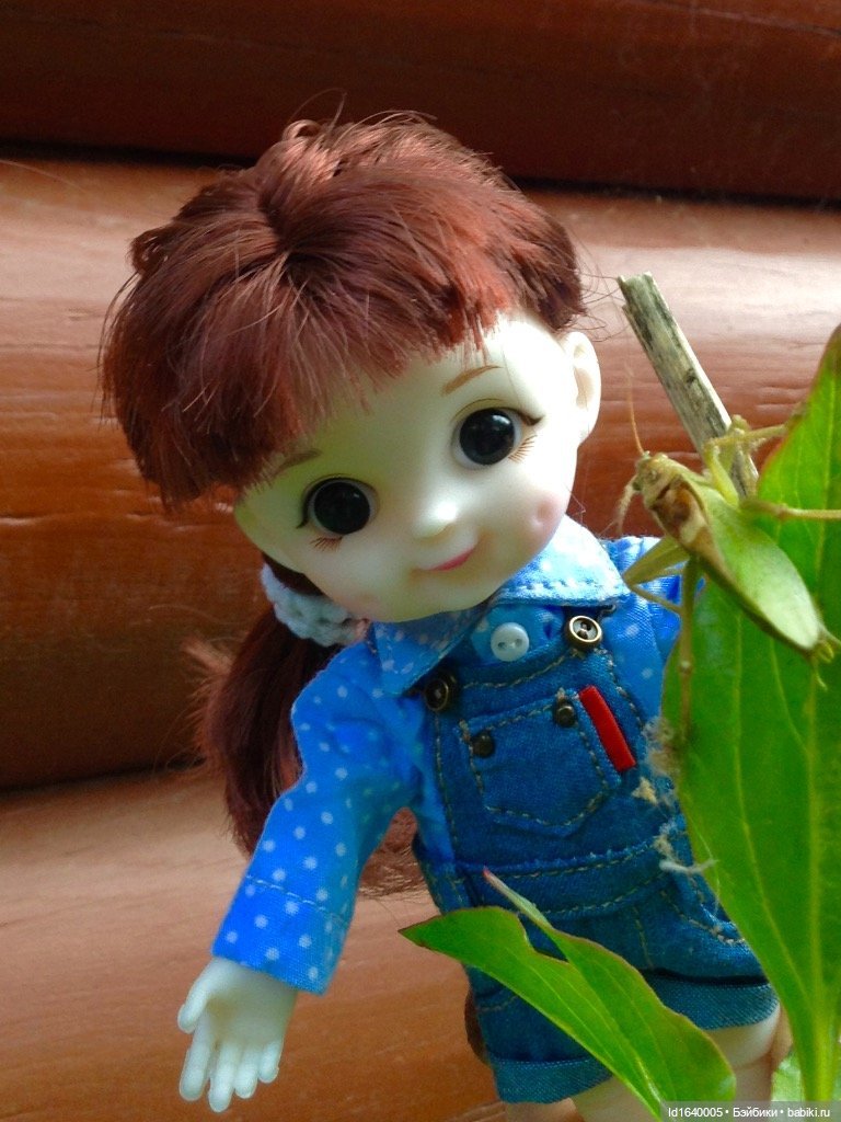 Кузнечик, который не хотел сидеть в травке