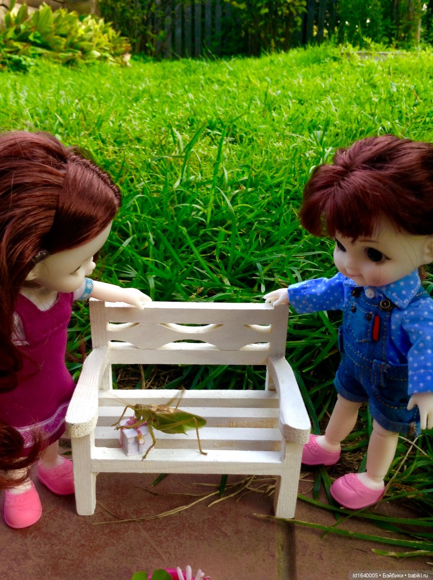 Кузнечик, который не хотел сидеть в травке