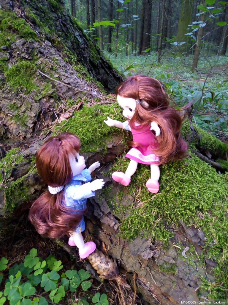 Кузнечик, который не хотел сидеть в травке (фото 6)