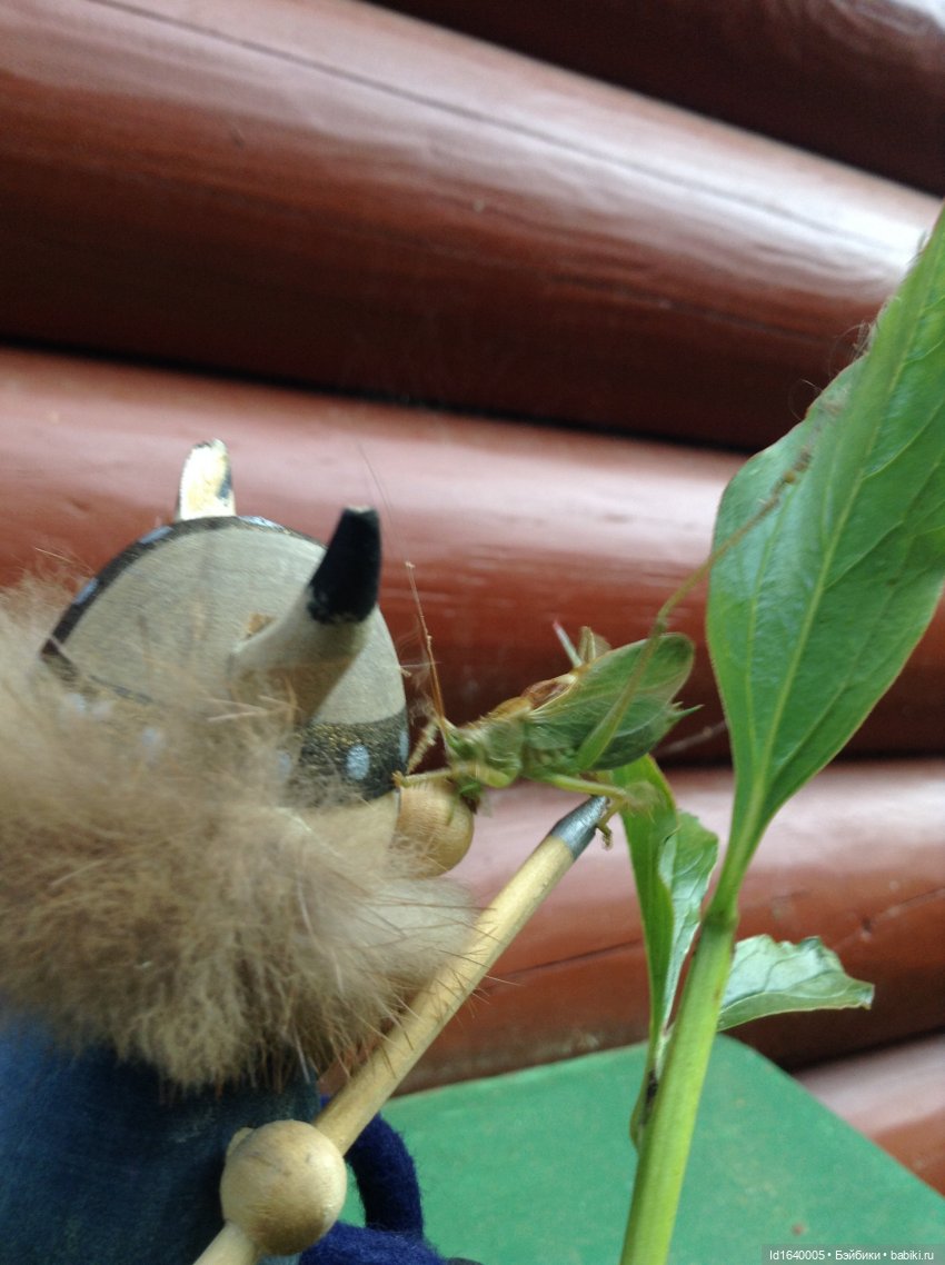 Кузнечик, который не хотел сидеть в травке