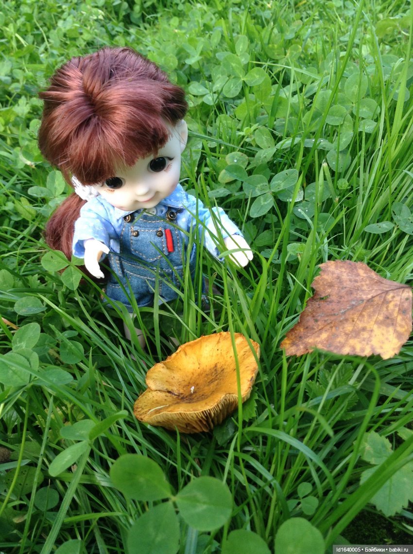 Кузнечик, который не хотел сидеть в травке