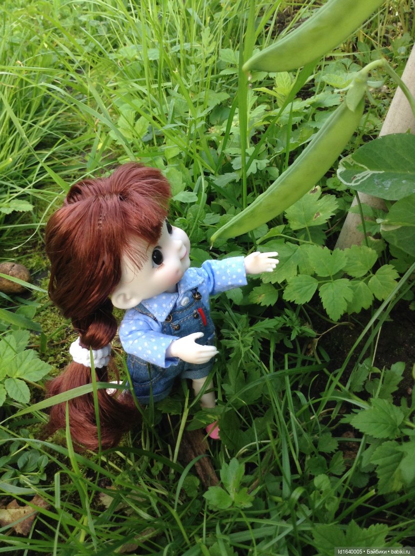 Кузнечик, который не хотел сидеть в травке