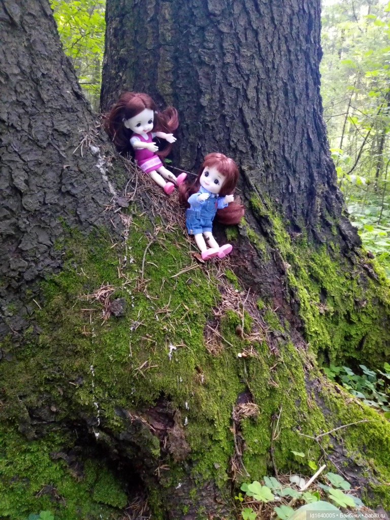 Кузнечик, который не хотел сидеть в травке (фото 7)