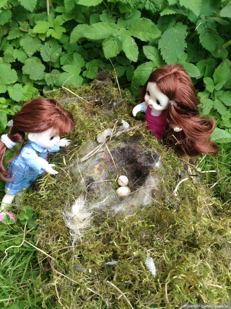 Кузнечик, который не хотел сидеть в травке