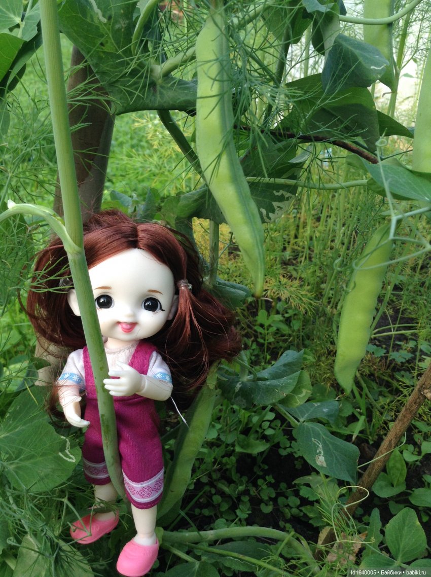 Кузнечик, который не хотел сидеть в травке