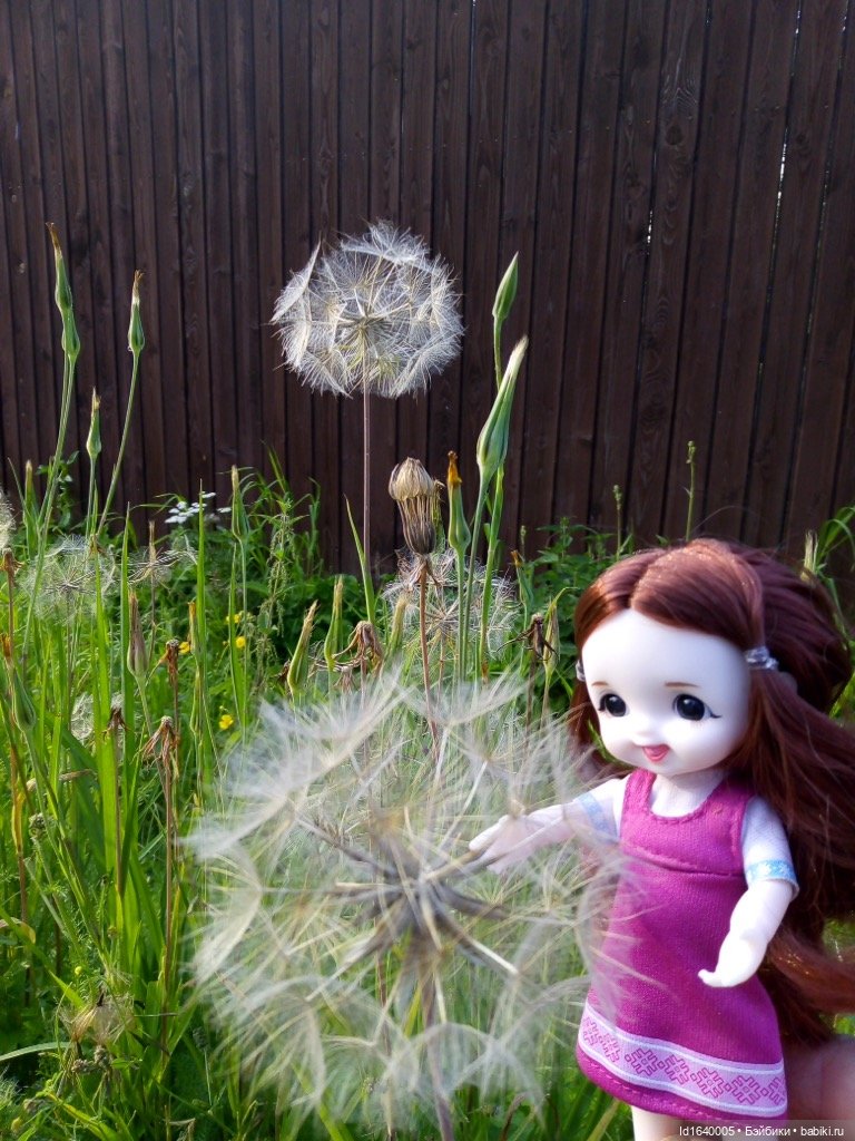 Кузнечик, который не хотел сидеть в травке