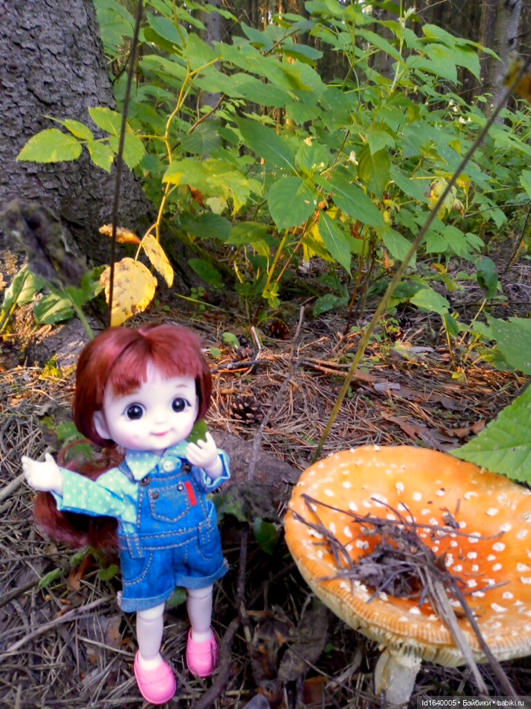 Кузнечик, который не хотел сидеть в травке