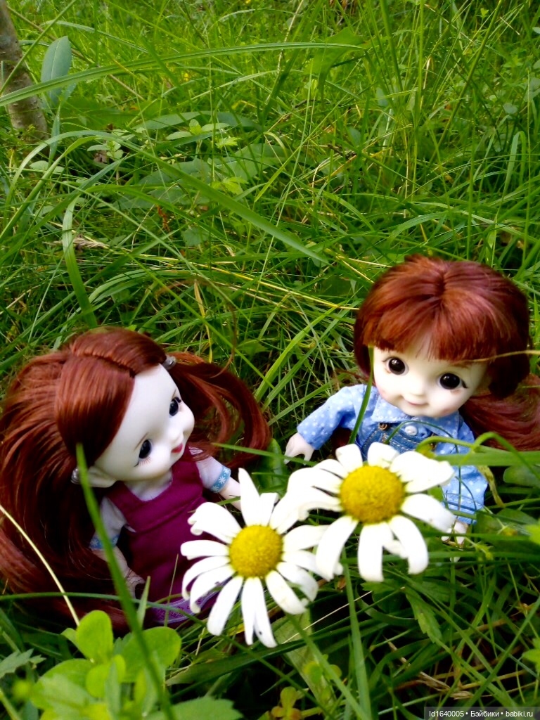 Кузнечик, который не хотел сидеть в травке (фото 3)