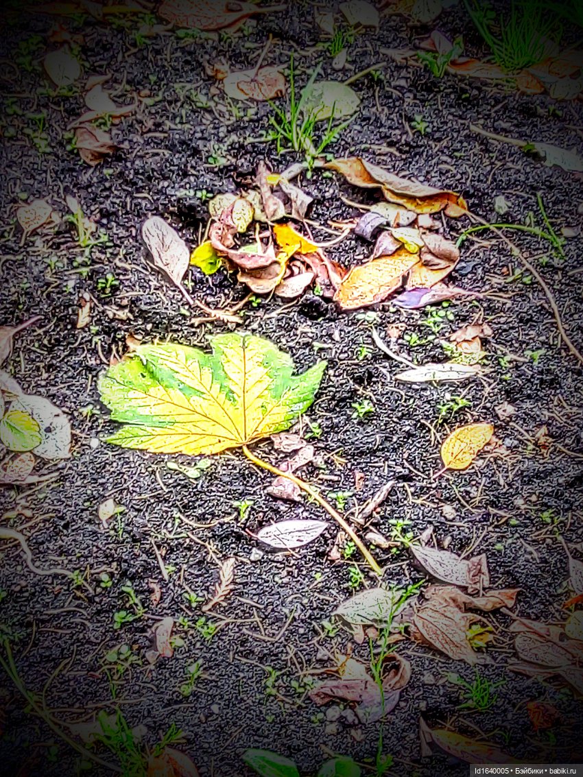 Бал и после бала — Болталка и разговоры обо всем: жизнь