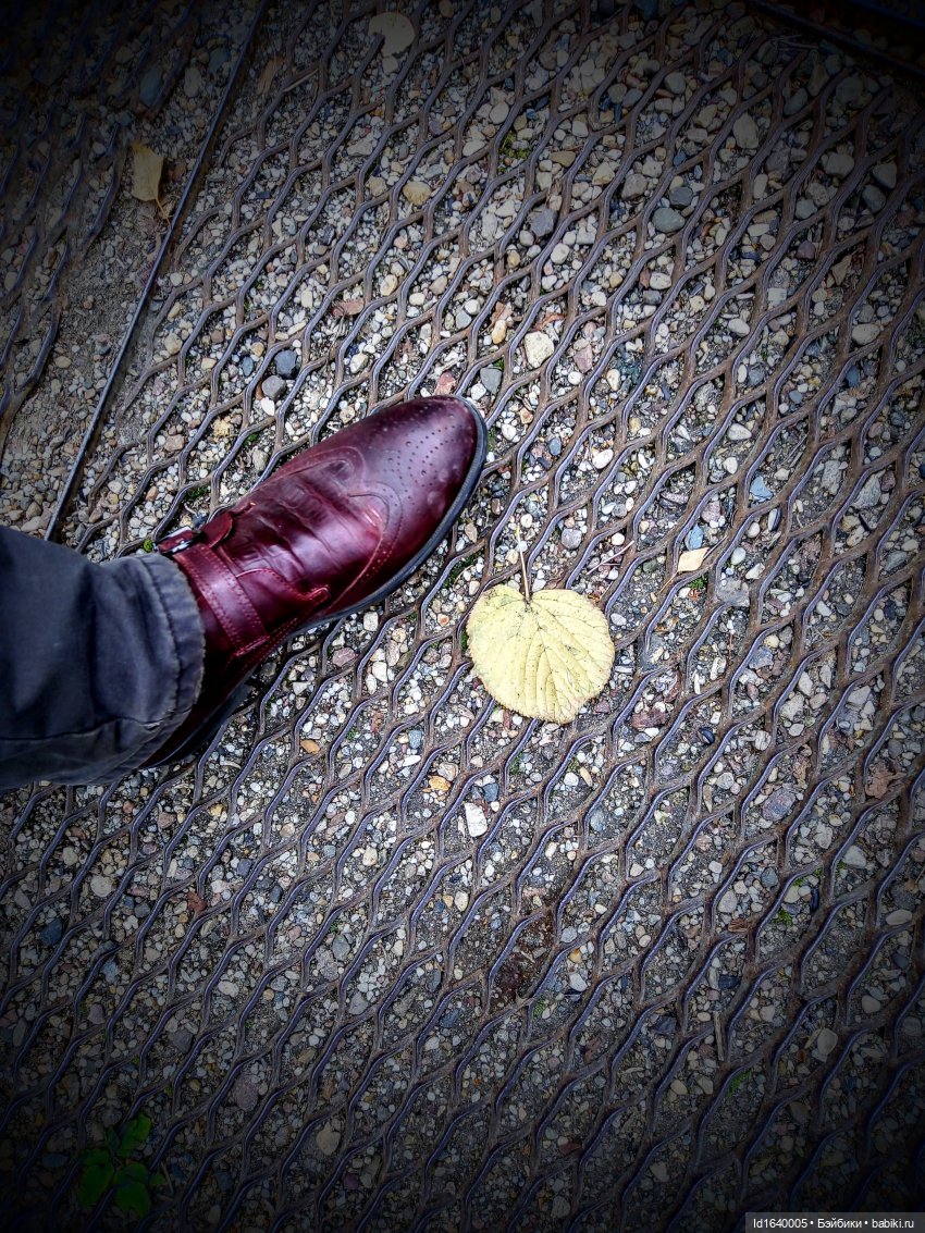 Бал и после бала — Болталка и разговоры обо всем: жизнь