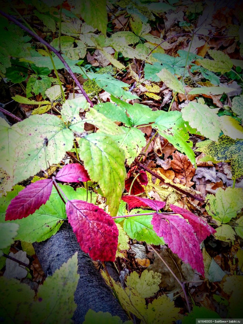 Бал и после бала — Болталка и разговоры обо всем: жизнь