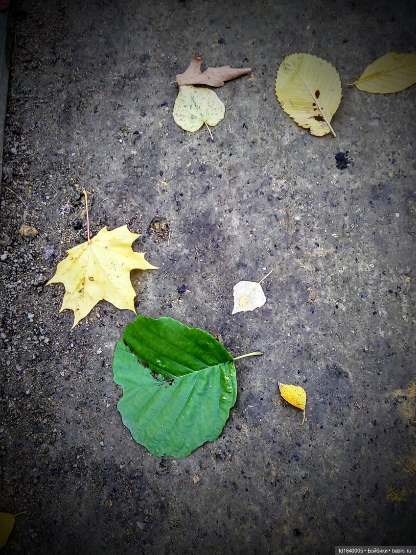 Бал и после бала — Болталка и разговоры обо всем: жизнь