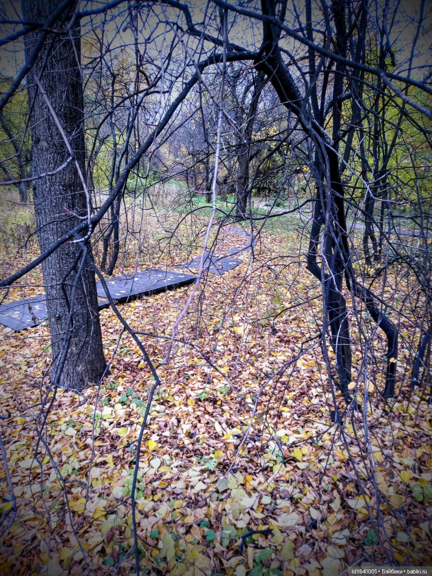 Бал и после бала — Болталка и разговоры обо всем: жизнь