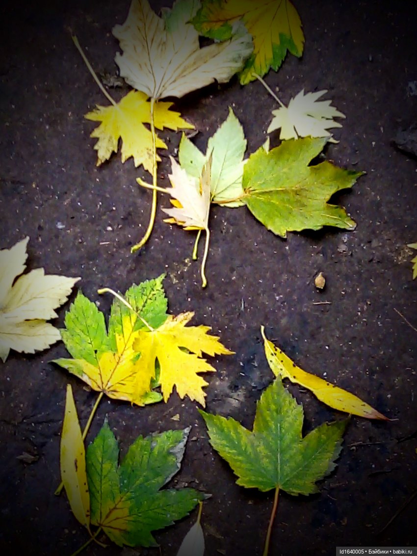 Бал и после бала — Болталка и разговоры обо всем: жизнь