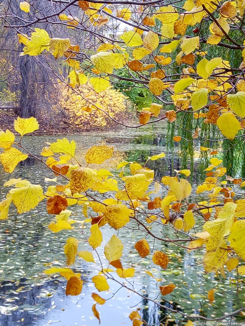 Бал и после бала — Болталка и разговоры обо всем: жизнь