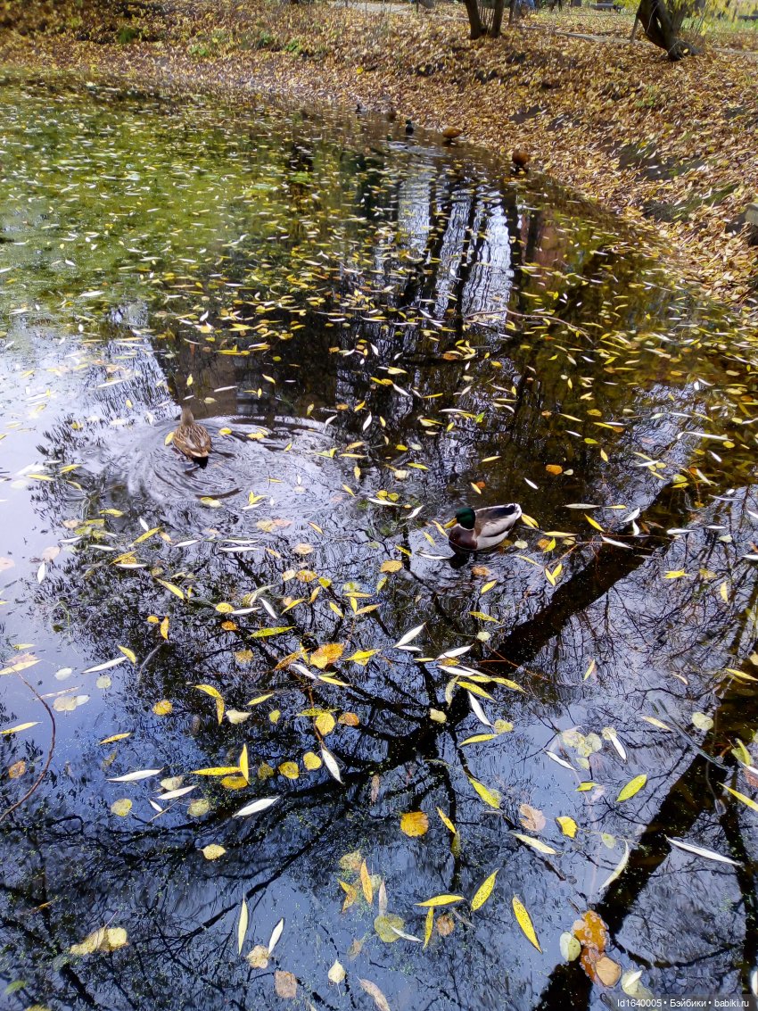 Бал и после бала — Болталка и разговоры обо всем: жизнь