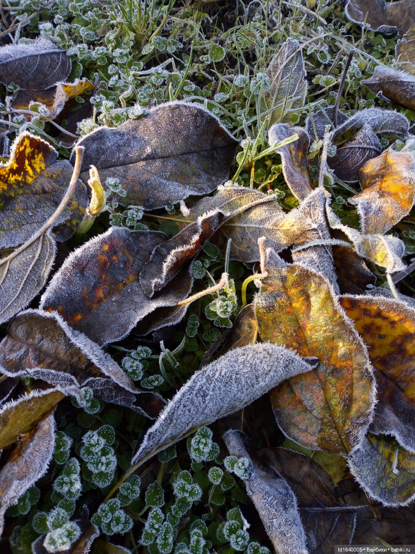 Бал и после бала — Болталка и разговоры обо всем: жизнь