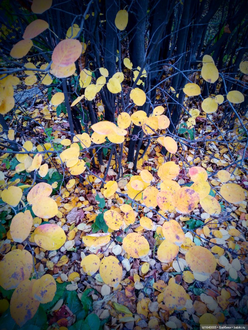 Бал и после бала — Болталка и разговоры обо всем: жизнь