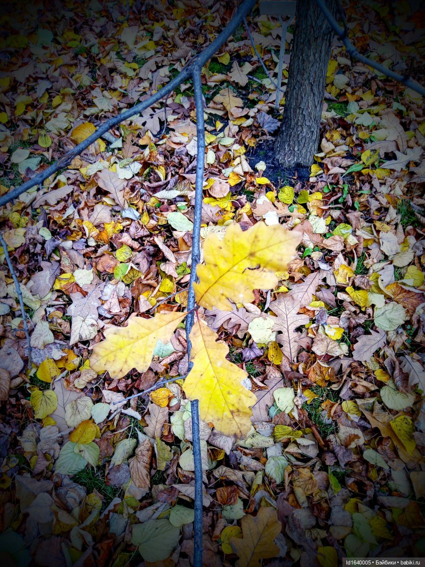 Бал и после бала — Болталка и разговоры обо всем: жизнь