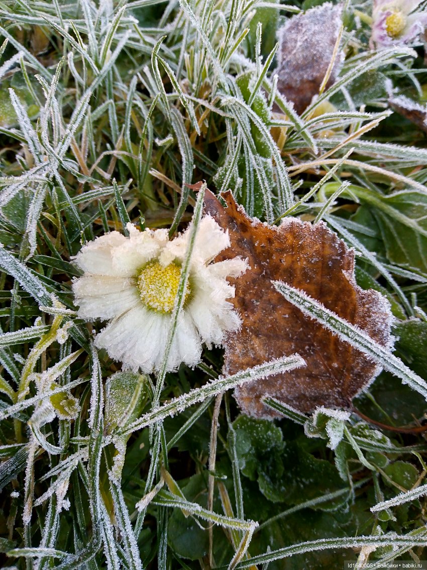 Бал и после бала — Болталка и разговоры обо всем: жизнь