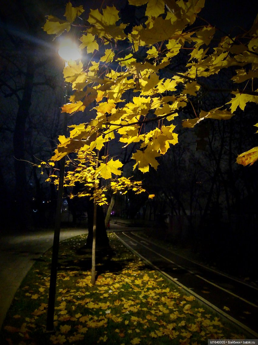 Бал и после бала — Болталка и разговоры обо всем: жизнь