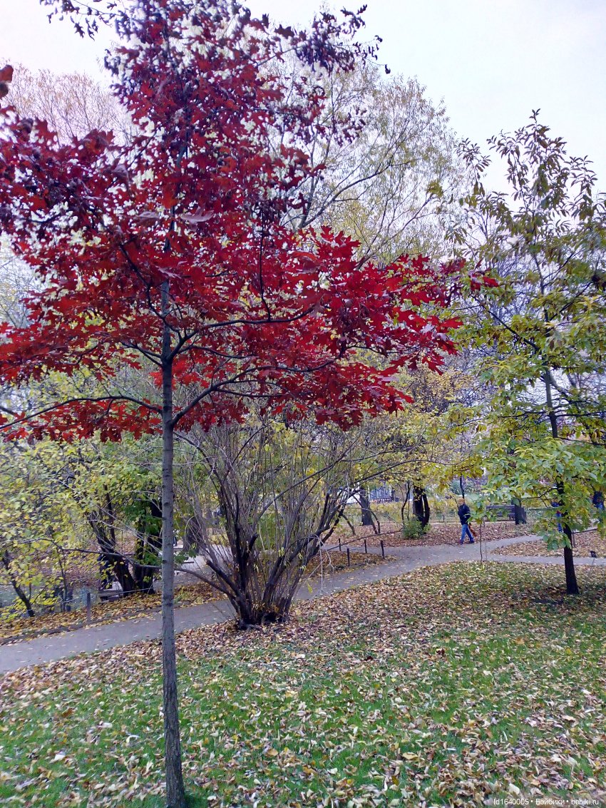 Бал и после бала — Болталка и разговоры обо всем: жизнь (фото 6)