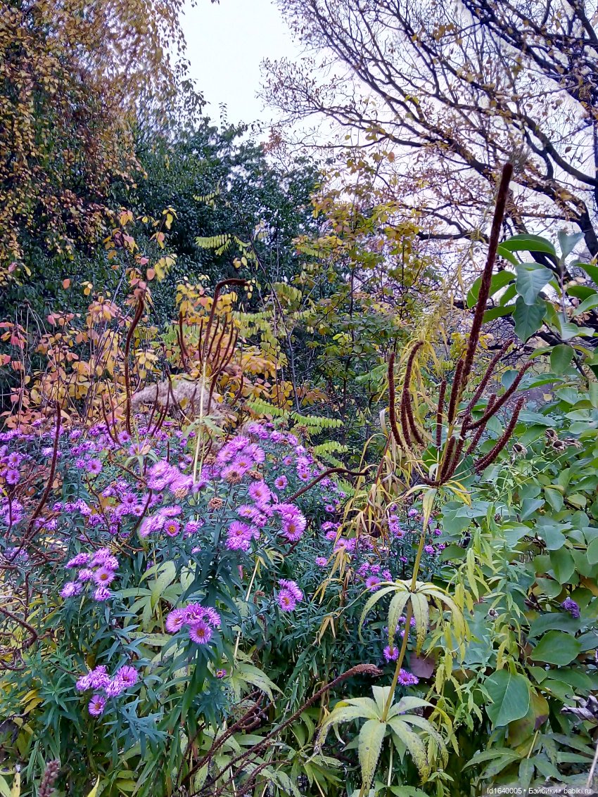 Бал и после бала — Болталка и разговоры обо всем: жизнь