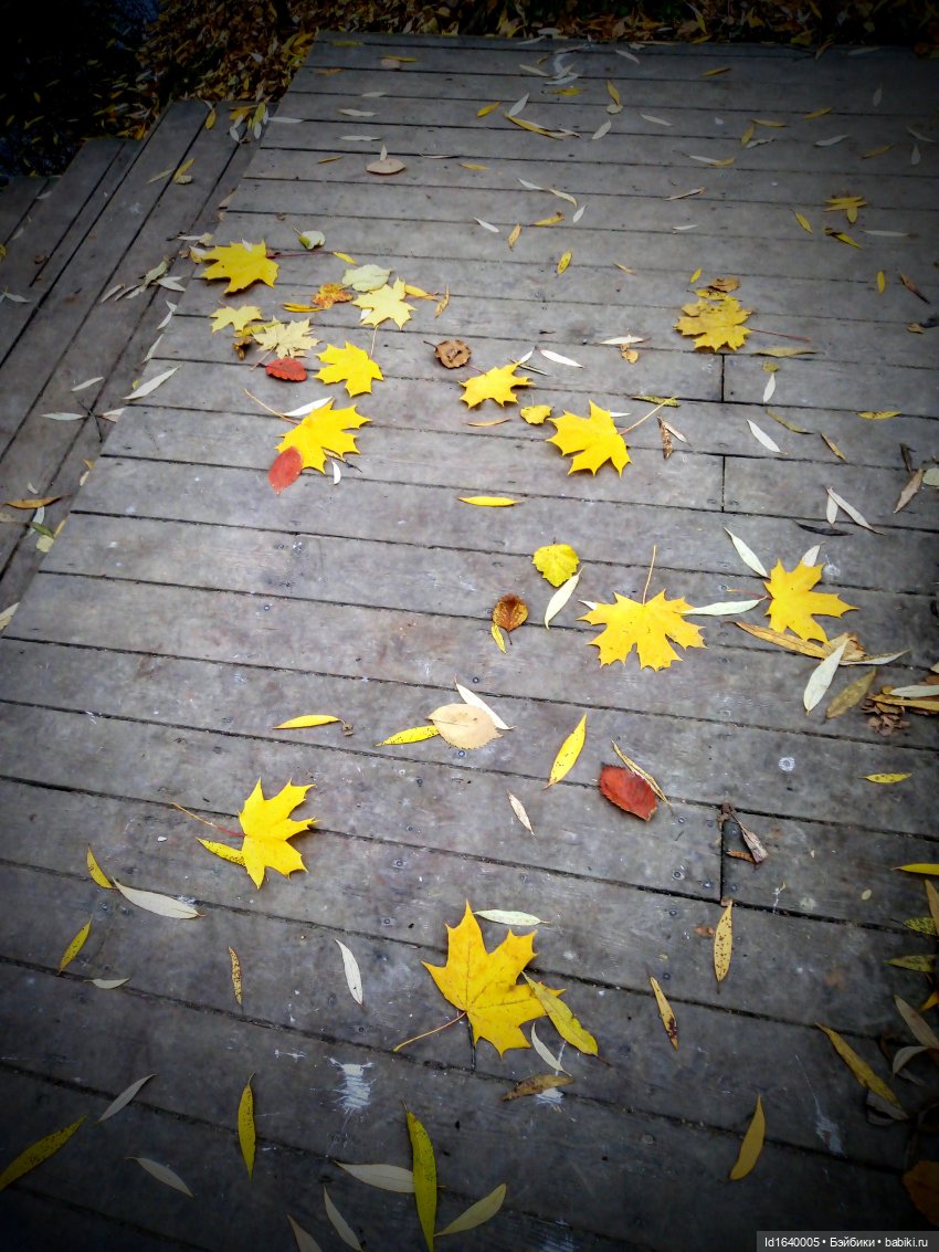 Бал и после бала — Болталка и разговоры обо всем: жизнь