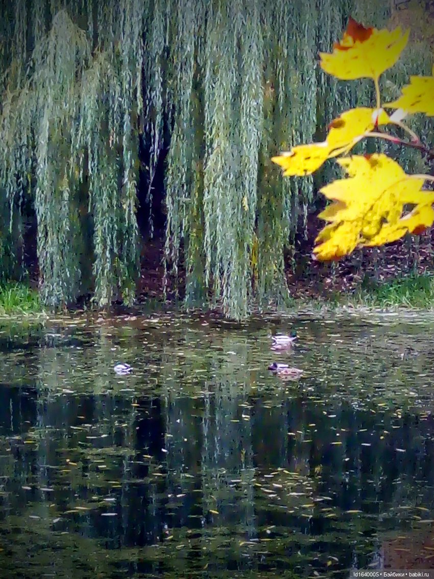 Бал и после бала — Болталка и разговоры обо всем: жизнь