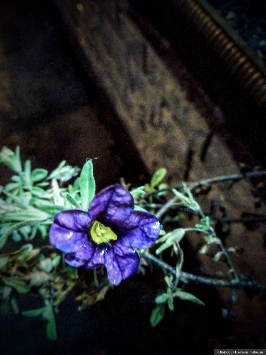 Бал и после бала — Болталка и разговоры обо всем: жизнь