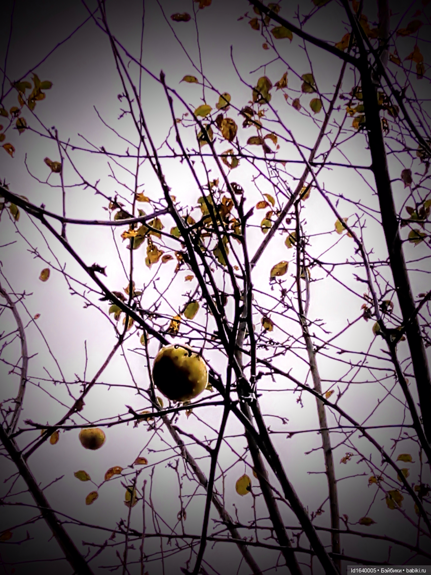 Бал и после бала — Болталка и разговоры обо всем: жизнь