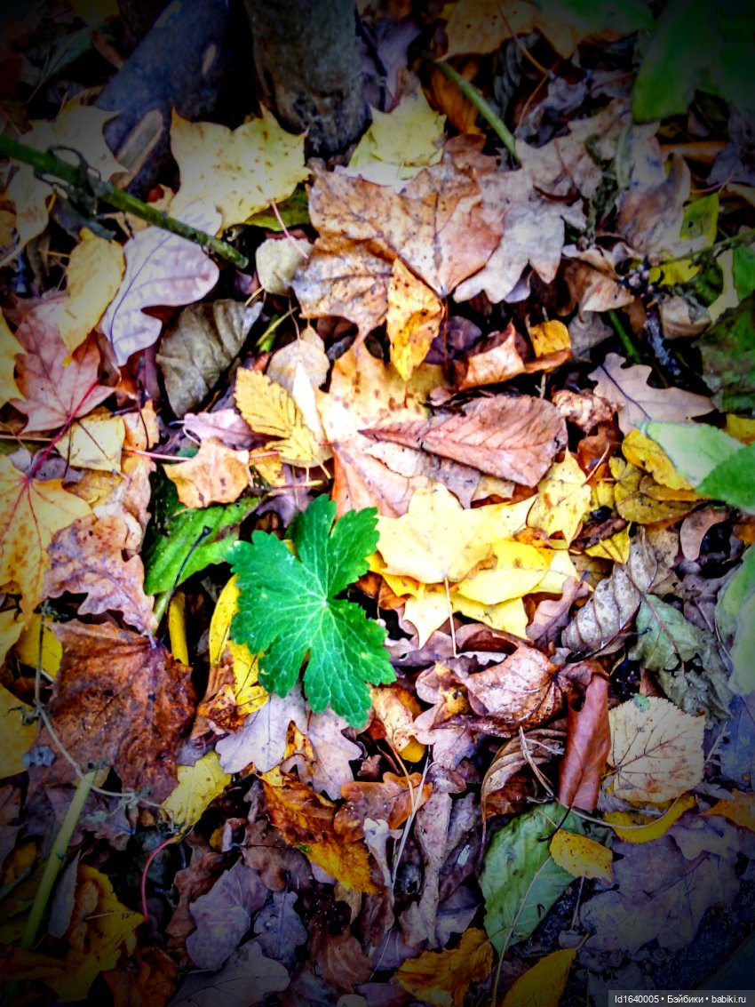 Бал и после бала — Болталка и разговоры обо всем: жизнь