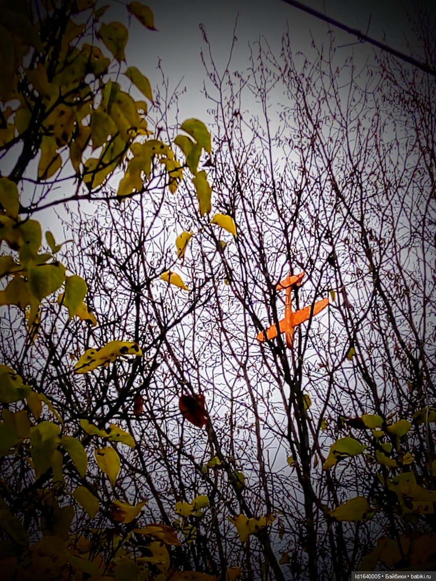 Бал и после бала — Болталка и разговоры обо всем: жизнь