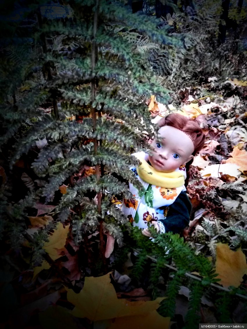 Бал и после бала — Болталка и разговоры обо всем: жизнь