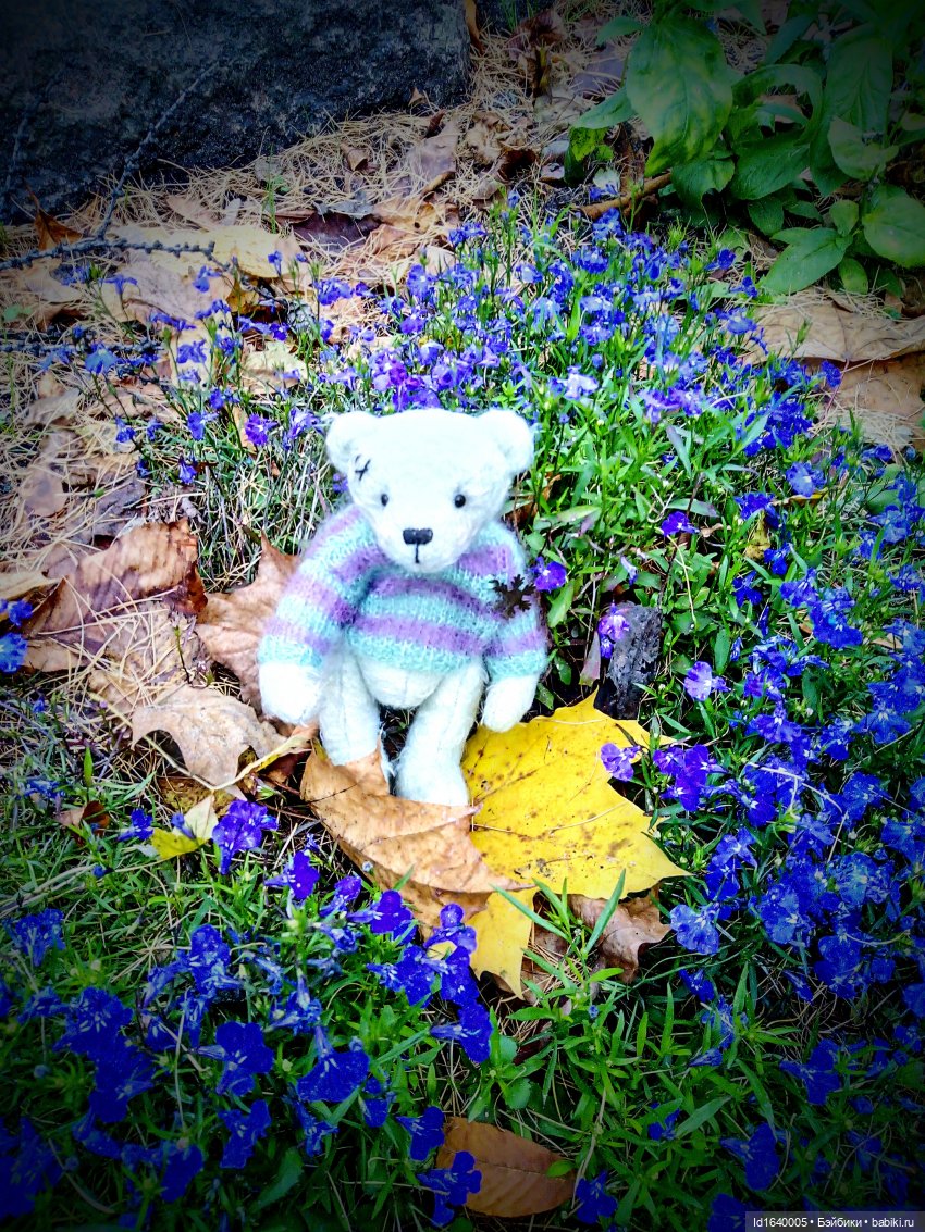 Бал и после бала — Болталка и разговоры обо всем: жизнь