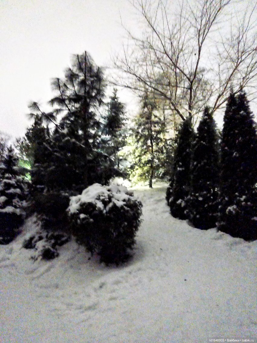 Шла девочка по снегу — Винтажные куклы ГДР (Немки): Бигги (фото 7)