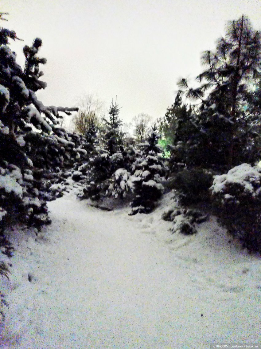 Шла девочка по снегу — Винтажные куклы ГДР (Немки): Бигги (фото 10)