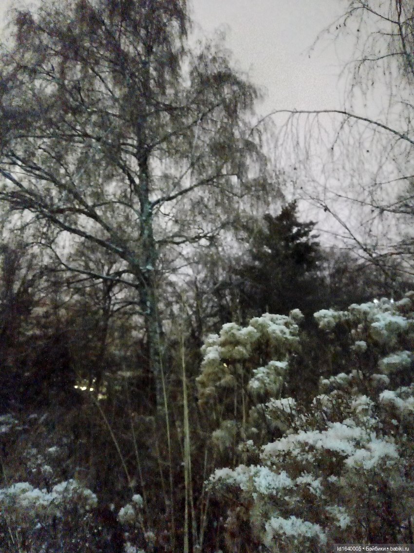 Шла девочка по снегу — Винтажные куклы ГДР (Немки): Бигги