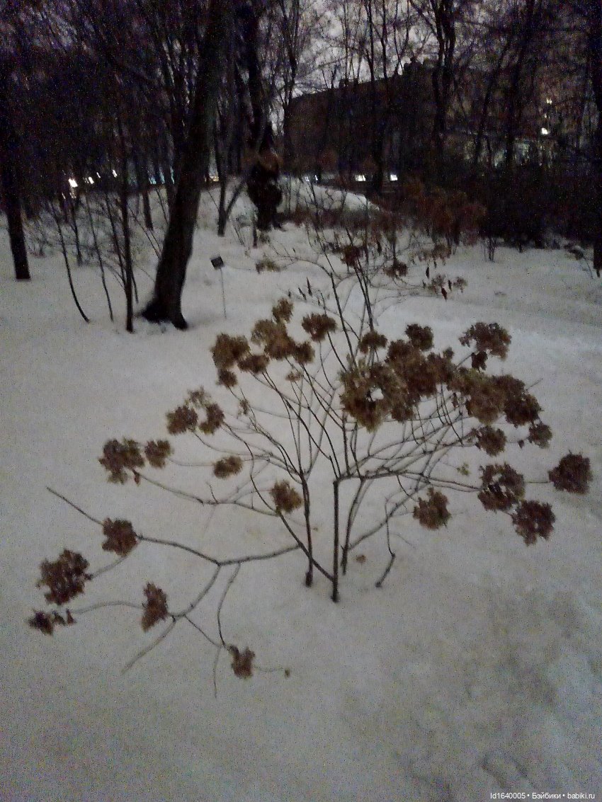 Шла девочка по снегу — Винтажные куклы ГДР (Немки): Бигги