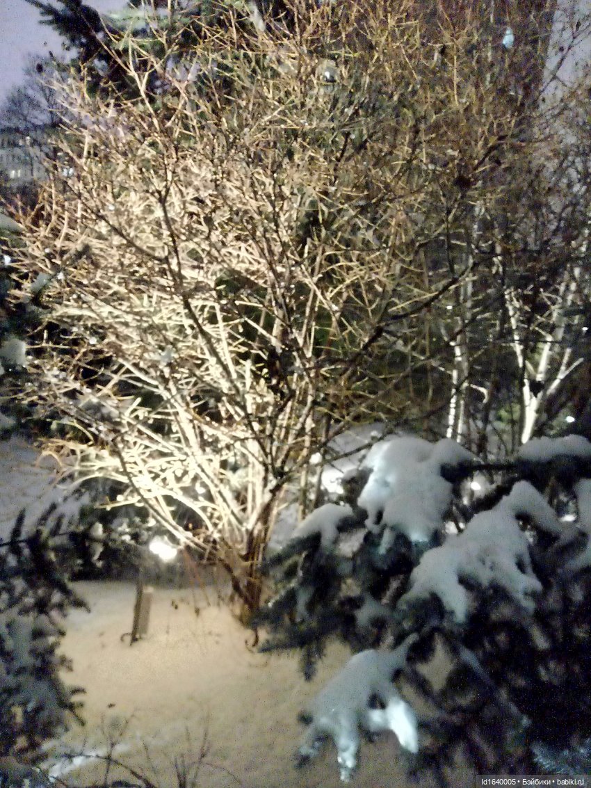 Шла девочка по снегу — Винтажные куклы ГДР (Немки): Бигги