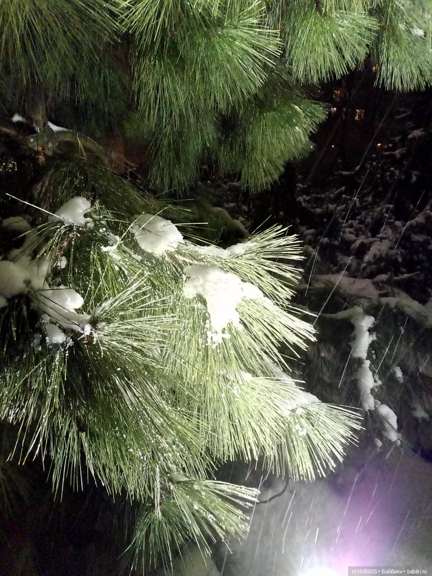 Шла девочка по снегу — Винтажные куклы ГДР (Немки): Бигги (фото 9)