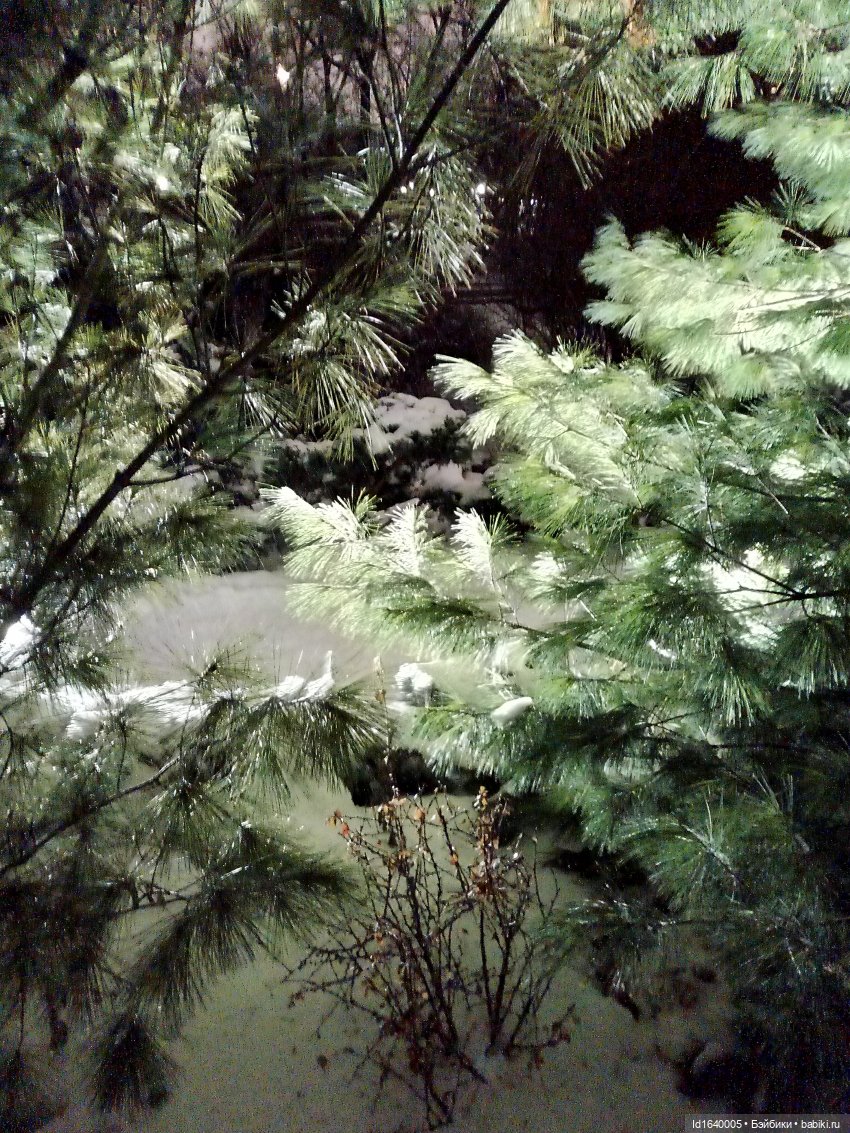 Шла девочка по снегу — Винтажные куклы ГДР (Немки): Бигги