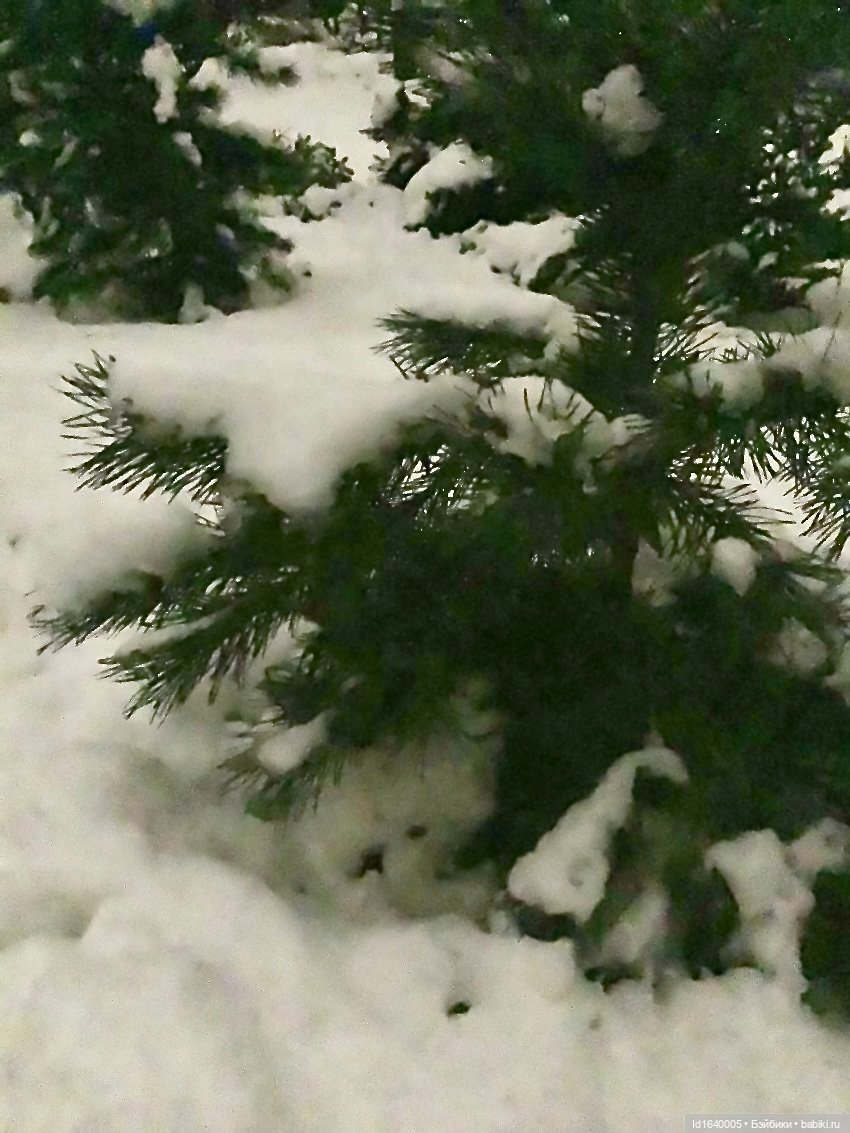 Шла девочка по снегу — Винтажные куклы ГДР (Немки): Бигги