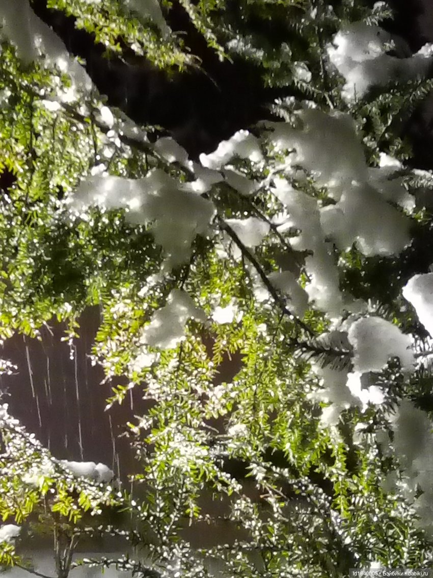 Шла девочка по снегу — Винтажные куклы ГДР (Немки): Бигги (фото 5)